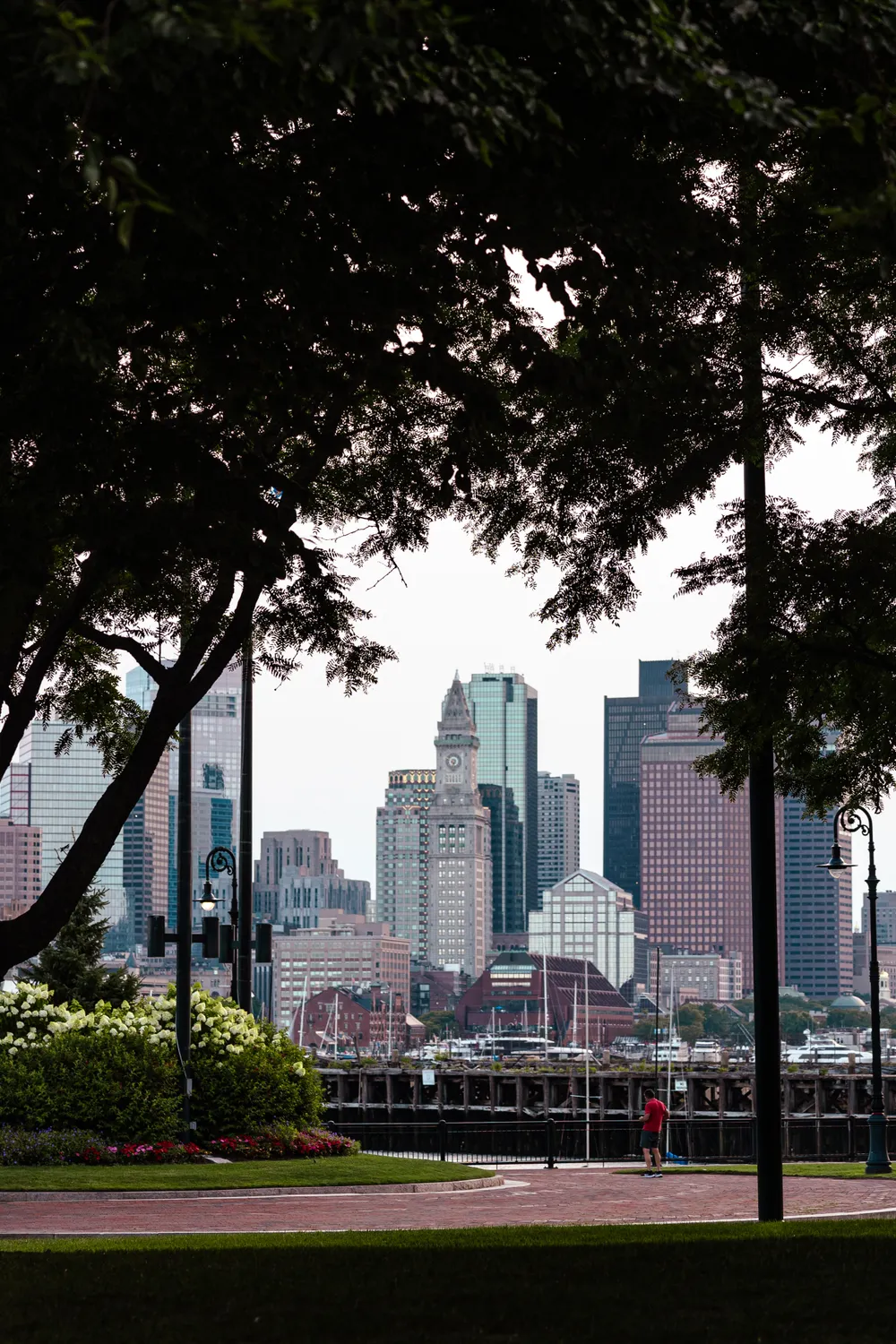 The Boston skyline framed by trees from a city park