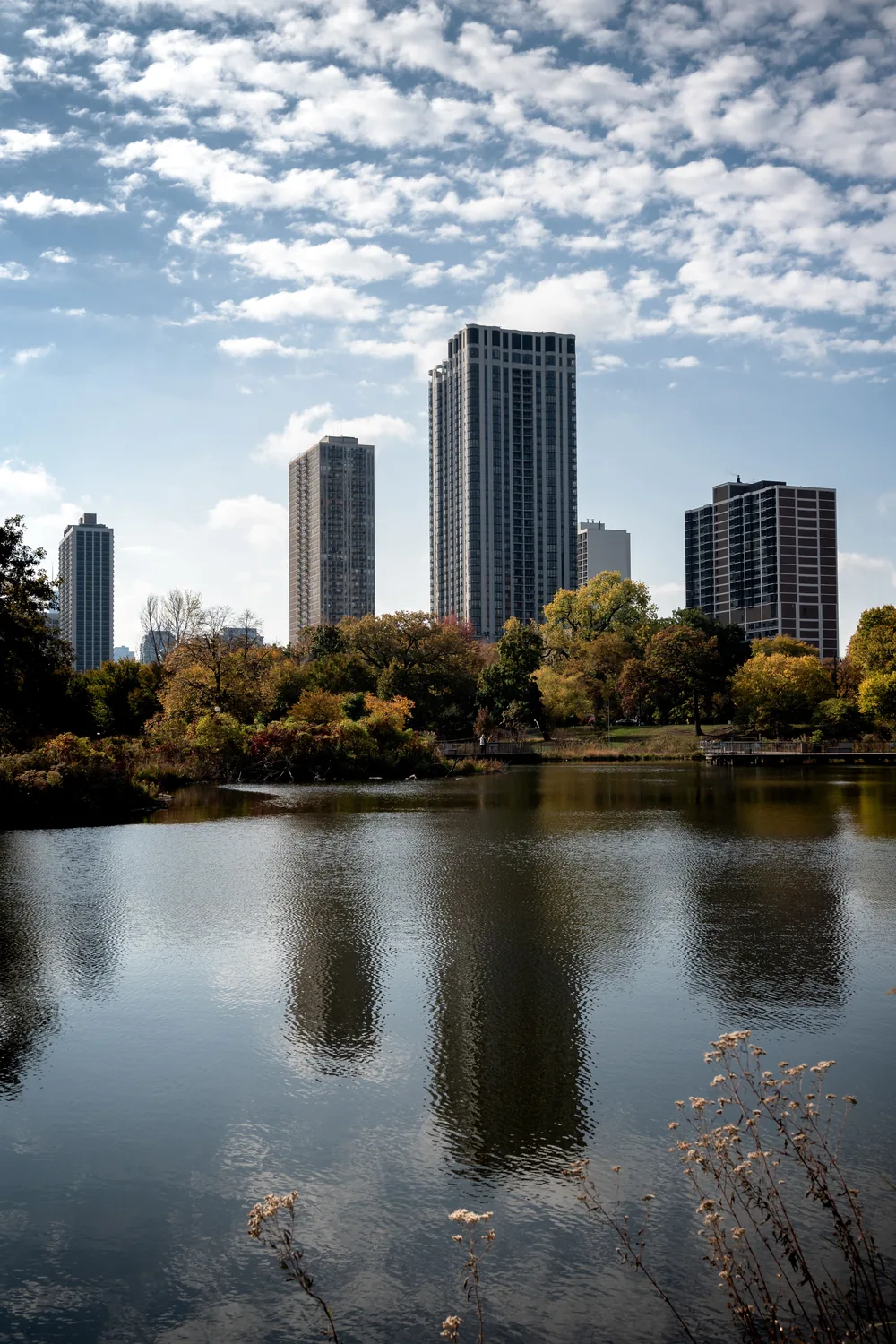 The Chicago skyline reflected in a still park lagoon, autumn trees along the far shore