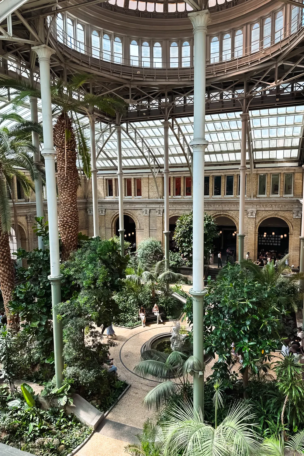 The palm-filled Winter Garden beneath the glass dome of the Ny Carlsberg Glyptotek in Copenhagen
