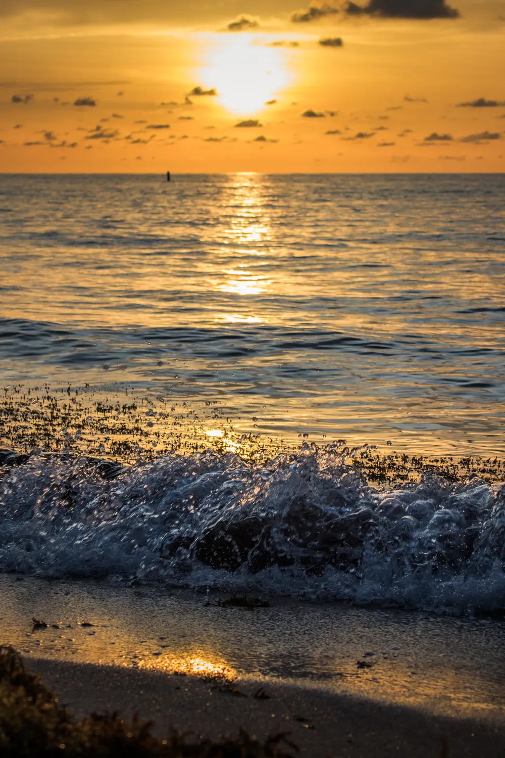 Golden-hour waves breaking on the sand at Miami Beach