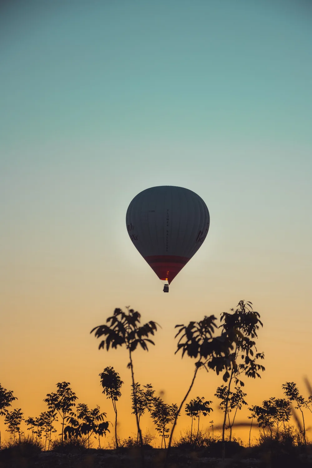 A hot air balloon rising over silhouetted trees against a dawn sky