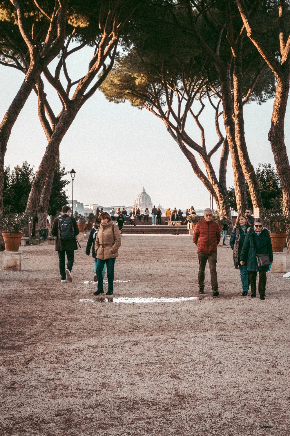 The terrace of the Giardino degli Aranci on the Aventine, framed by umbrella pines with St Peter's in the distance