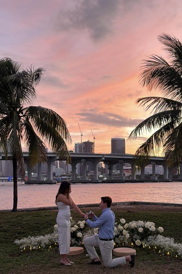 Sunset park proposal with palm trees and Miami skyline views