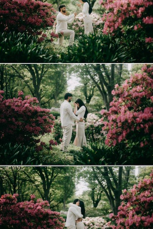 Ippei and Janine Photography